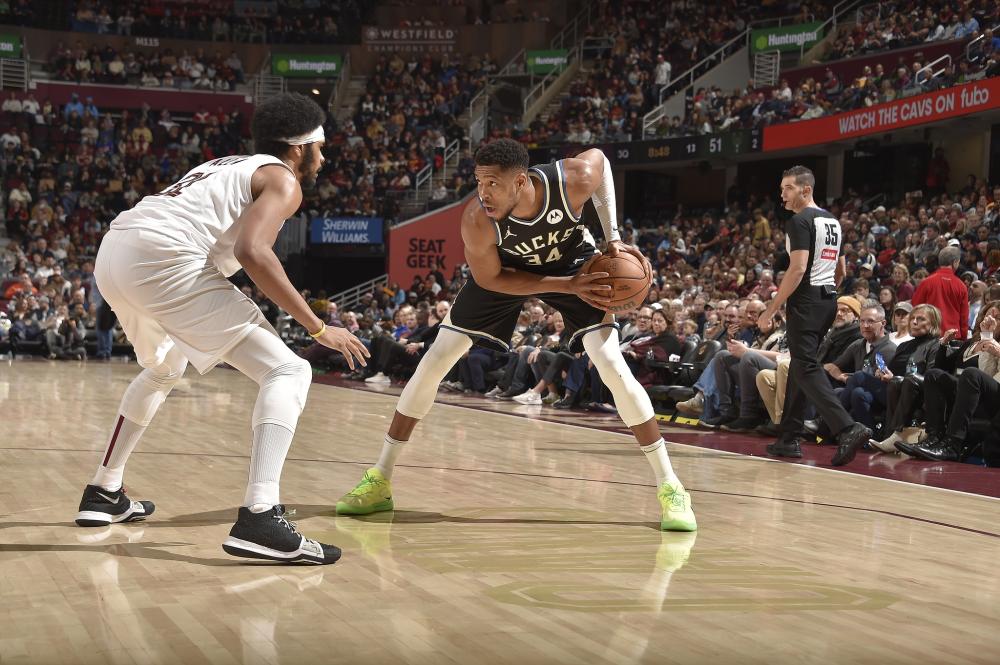 忽视的名字 忽视的名字